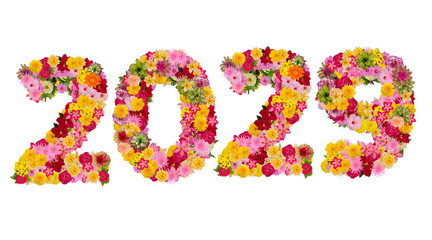 Inscription 2029 from fresh flowers isolated on white background. Happy New Year Concept.With clipping path