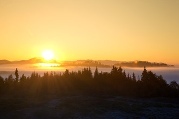 Carpathian mountain sunny landscape