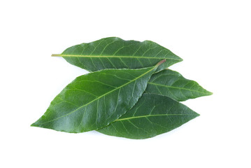 Obraz premium Bay leaves isolated on white background