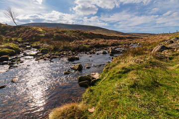 A confluence of waters. Near Costy Clough feeding into a juvenile River Hodder, Forest of Bowland,...