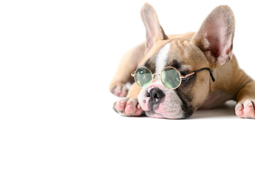 Cute french bulldog wear sunglass and sleeping