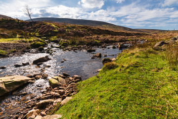 A confluence of waters. Near Costy Clough feeding into a juvenile River Hodder, Forest of Bowland, Lancashire, England.