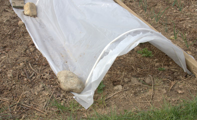 serre dans jardin ,protection du froid au printemps
