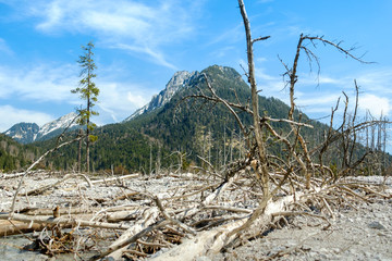 Naturschutzgebiet Friedergrieß