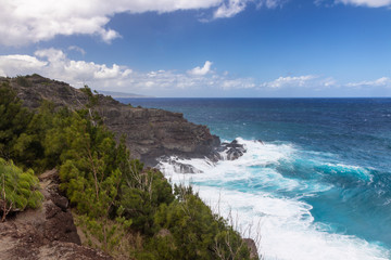 Fototapeta premium Big waves at the north coast of Maui