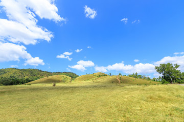 Fototapeta premium Green grass at bald hill mountain, scenic park in Ranong, Thailand