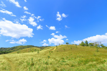 Obraz premium Green grass at bald hill mountain, scenic park in Ranong, Thailand