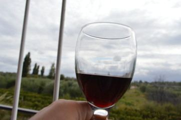 glass of wine on a background of vineyard