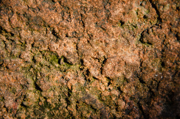 Beautiful macro texture of stones, corrosion, wood home objects. Bright textures, bright colors.