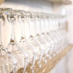 Wine glasses in row on bar