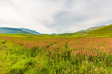Plans Castelluccio in Italy