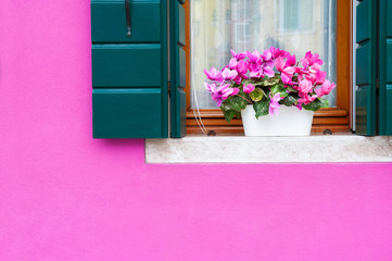 Pink wall of the house and window with pink flowers. Colorful architecture in Burano island, Venice, Italy.