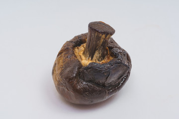 Spoiled mushroom champignon on a white background. Dried black mushroom. Improper preservation of...