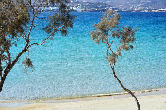 The beach of Martselo is an oasis of relaxation