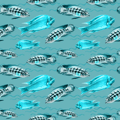 Seamless patterns with tropical fish