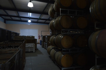 barrels in wine cellar