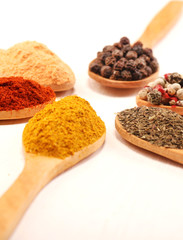 Group of indian spices and herbs difference ware in wooden spoons on white background for design foods, vegetable, spices, herbs, healthy lifestyle