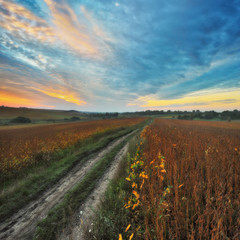 Obraz premium spring morning scenic sunrise in the misty valley. foggy morning