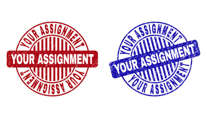 Grunge YOUR ASSIGNMENT round stamp seals isolated on a white background. Round seals with grunge texture in red and blue colors.