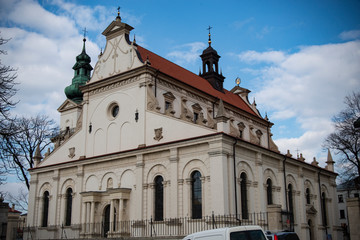 Fototapeta na wymiar Zamojska Katedra