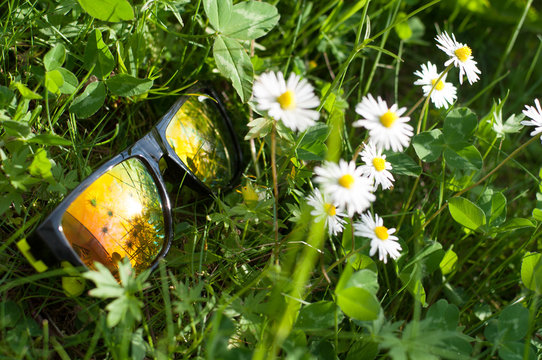 Sonnenbrille liegt auf der Wiese zwischen Blüten Urlaubstimmung