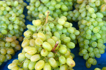 Fresh green grapes