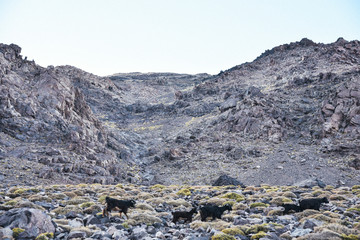 Hiking Toubkal, the Highest Peak in the High Atlas Mountains of Morocco