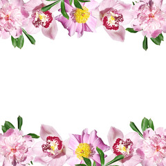 Beautiful floral background of peonies and orchids. Isolated