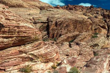 Layers in the rocks of the Calico Hills, Red Rock Canyon National Conservation Area, Nevada, USA