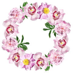 Beautiful flower circle of peonies and orchids. Isolated