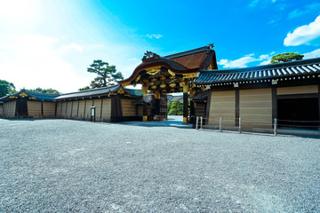 Fototapeta premium Nijo Castle