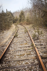 Obraz premium Railway. wooden sleepers. retro. she is overgrown with grass. didn't go train.