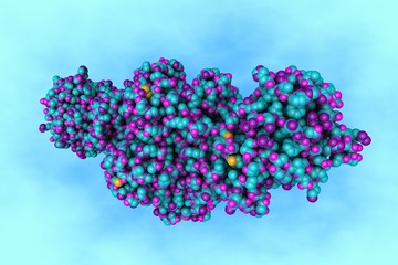 Molecular structure of shiga toxin. Shiga toxin produced by bacteria Shigella, which cause food-borne infection shigellosis or dysentery. Scientific background. 3d illustration