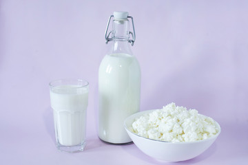 Fresh cottage cheese and milk for breakfast in a glass bottle and a glass of milk in the center of the frame on a lavender background
