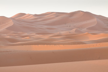 Plakat Morocco, Merzouga, Erg Chebbi Dunes at Sunrise