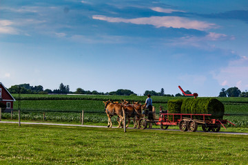 Fototapeta na wymiar Rural Farming in Pensylvannia