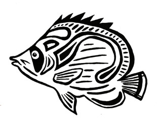 Hand drawn Fish illustration summer water sea cartoon