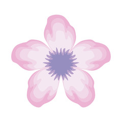 beauty flower isolated icon