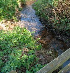 Obraz premium A brook on a sunny day