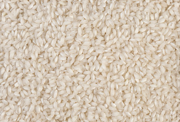 arborio risotto short grain rice texture background. nutrition. bio. natural food ingredient.
