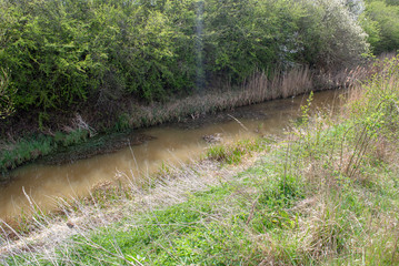 View at Fiskerton Fen in late spring