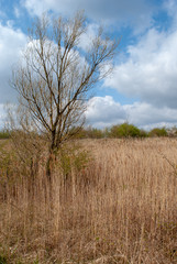Fototapeta premium Scenic view at Fiskerton Fen