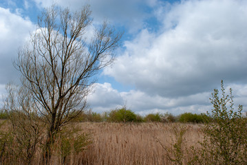 Scenic view at Fiskerton Fen