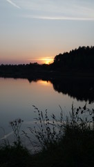 Summer landscape, pond and forest on the horizon.