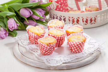 Small curd cheese muffins or cupcakes