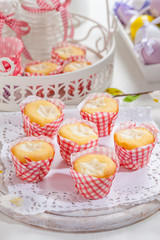 Small curd cheese muffins or cupcakes