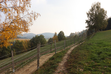 Fototapeta na wymiar autumn nature landscape in germany