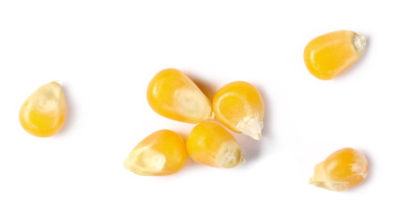 Yellow raw corn kernels for popcorn isolated on white background, macro, top view