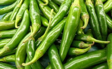 Fresh Serrano Peppers at the local farmers market