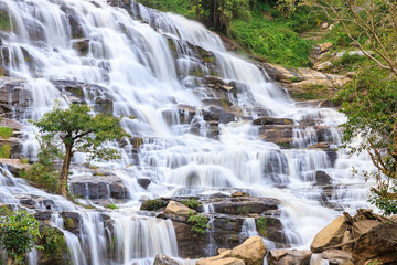 Tree on waterfall background, Mae Ya Waterfall, Doi Inthanon, Chiang Mai, Thailand